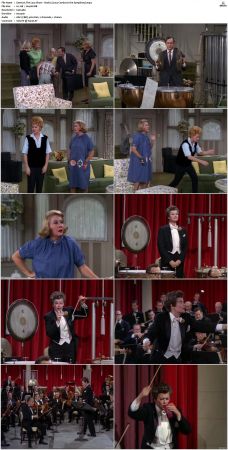 The Lucy Show S02 DVDRip x264-NGP