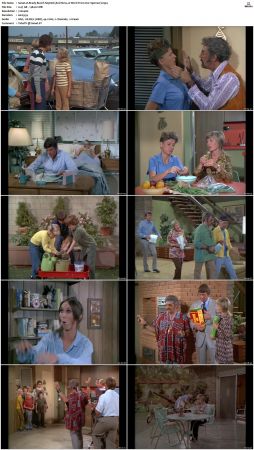The Brady Bunch S03 DVDRip x264-NGP
