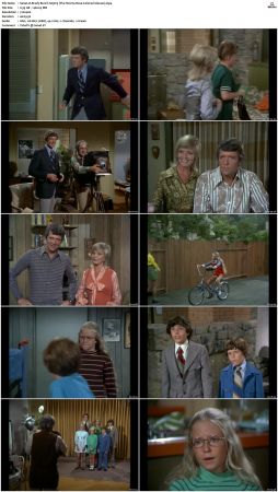 The Brady Bunch S03 DVDRip x264-NGP