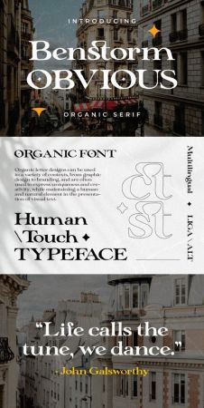 CM - Benstorm Obvious - Organic Serif 91993413