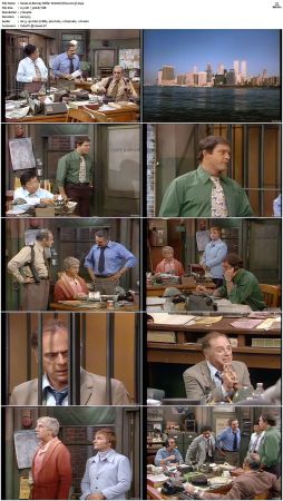 Barney Miller S02 DVDRip x265-NGP