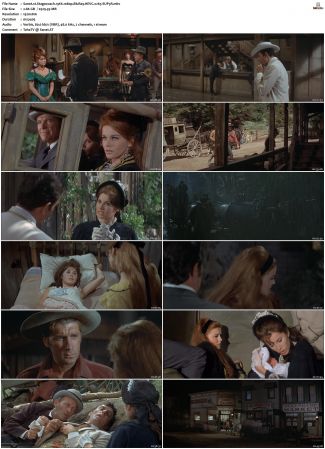 Stagecoach 1966 1080p BluRay HEVC x265-SUP3R