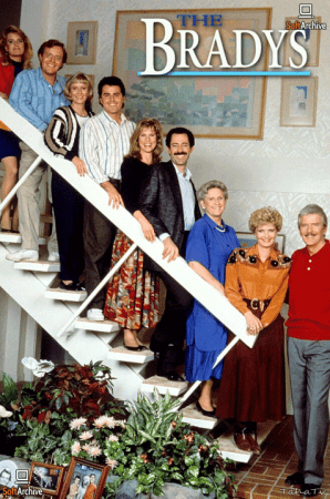 The Bradys S01 DVDRip x264-NGP