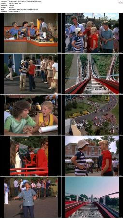 The Brady Bunch S05 DVDRip x264-NGP