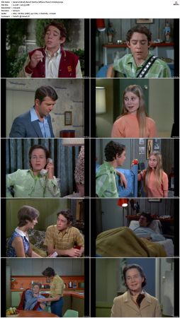 The Brady Bunch S02 DVDRip x264-NGP