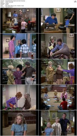 The Brady Bunch S03 DVDRip x264-NGP