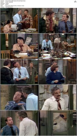 Barney Miller S03 DVDRip x264-NGP