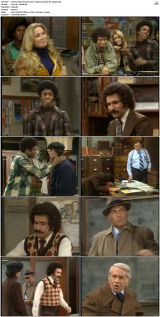 Welcome Back Kotter S03 DVDRip x264-NGP