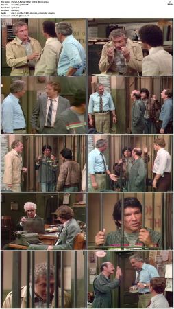 Barney Miller S08 DVDRip x264-NGP