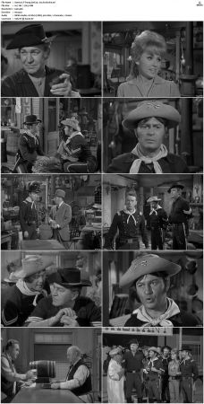 F-Troop S01 DVDRip XviD-cOOt