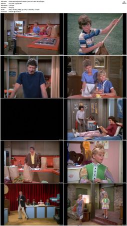 The Brady Bunch S04 DVDRip x264-NGP