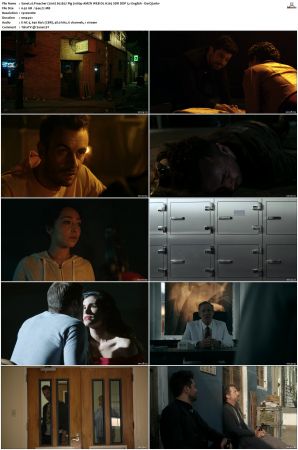 Preacher S02 1080p AMZN WEB-DL H265 SDR DDP 5 1 English - DarQ