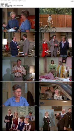 The Brady Bunch S03 DVDRip x264-NGP