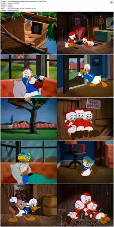 Donalds Happy Birthday 1949 DVDRip x264-HANDJOB