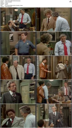 Barney Miller S07 DVDRip x264-NGP