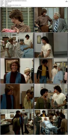 Welcome Back Kotter S04 DVDRip x264-NGP