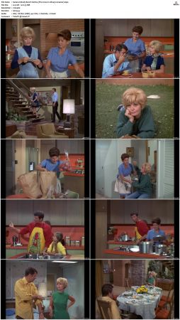 The Brady Bunch S01 DVDRip x264-NGP