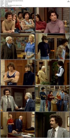 Welcome Back Kotter S03 DVDRip x264-NGP