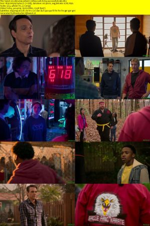 Cobra Kai S06 Part 1 1080p WEB H264-SuccessfulCrab