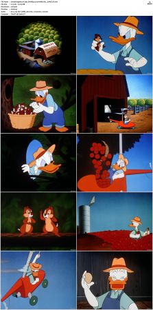 Donald Applecore 1952 DVDRip x264-HANDJOB