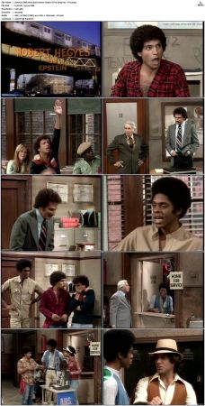 Welcome Back Kotter S04 DVDRip x264-NGP