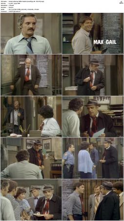 Barney Miller S04 DVDRip x264-NGP