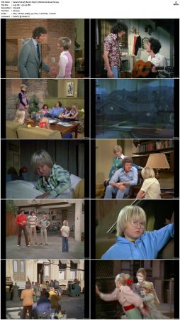 The Brady Bunch S05 DVDRip x264-NGP