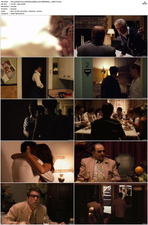 The Godfather 1972 iNTERNAL BDRip x264-LiBRARiANS
