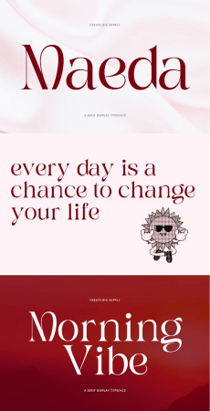 EE - Maeda Unique Serif Display Font 2YY5L6X