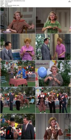 The Lucy Show S02 DVDRip x264-NGP