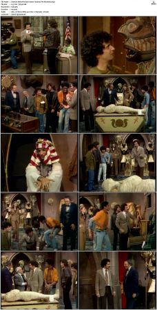 Welcome Back Kotter S02 DVDRip x264-NGP