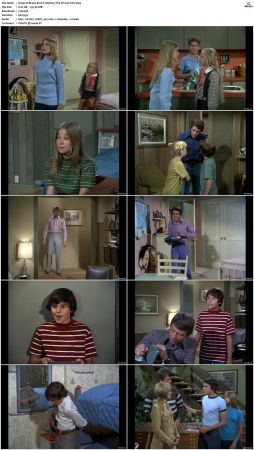 The Brady Bunch S03 DVDRip x264-NGP