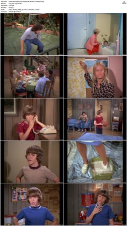 The Brady Bunch S05 DVDRip x264-NGP