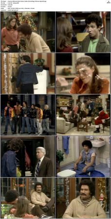 Welcome Back Kotter S03 DVDRip x264-NGP