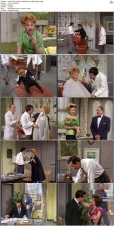 The Lucy Show S03 DVDRip MPEG-NGP