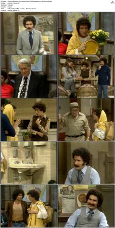 Welcome Back Kotter S03 DVDRip x264-NGP