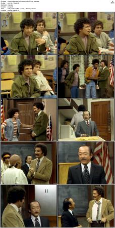 Welcome Back Kotter S02 DVDRip x264-NGP