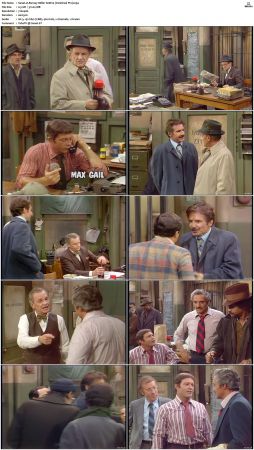 Barney Miller S06 DVDRip x264-NGP
