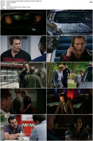 Sneaky Pete S02 NORDiC 720p WEB-DL H 265 DDP5 1-CiNEMiX