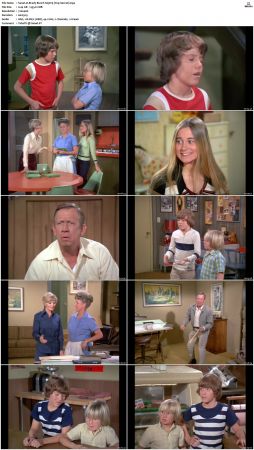 The Brady Bunch S05 DVDRip x264-NGP
