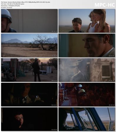 Electra Glide in Blue 1973 1080p BluRay DDP 2.0 H265-iVy