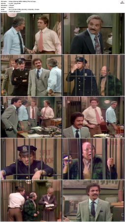 Barney Miller S08 DVDRip x264-NGP