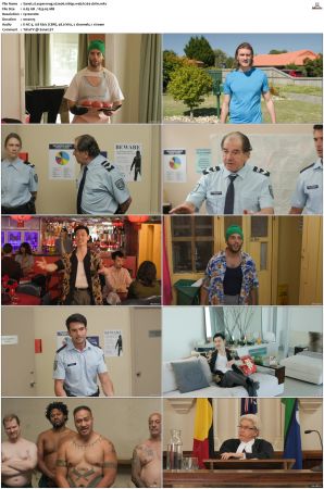 Superwog S02 1080p WEB H264-CBFM