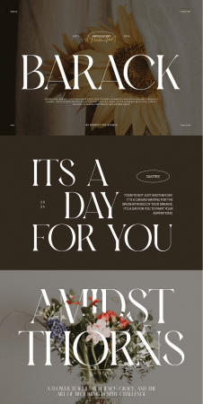 EE - Barack Elegant Serif Font Typeface DBEBZ4J
