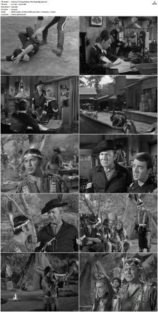 F-Troop S01 DVDRip XviD-cOOt