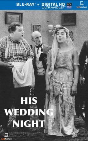 His Wedding Night 1917 1080p BluRay x265-Garshasp