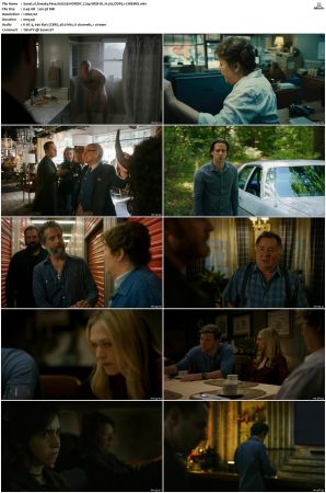 Sneaky Pete S02 NORDiC 720p WEB-DL H 265 DDP5 1-CiNEMiX