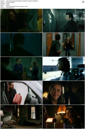 Sneaky Pete S02 NORDiC 720p WEB-DL H 265 DDP5 1-CiNEMiX