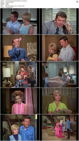The Brady Bunch S01 DVDRip x264-NGP