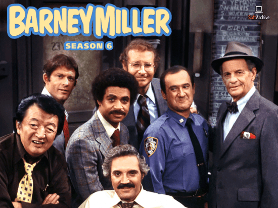 Barney Miller S06 DVDRip x265-NGP